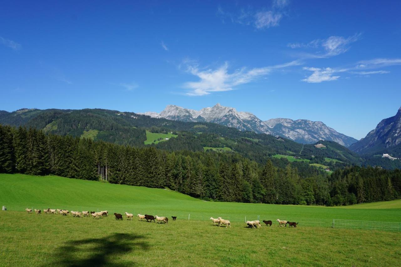 Appartement Winteraugut Werfen Exterior photo